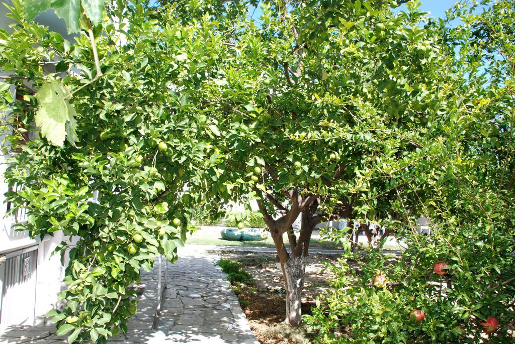 Kostas Family House Kato Assos Exterior foto