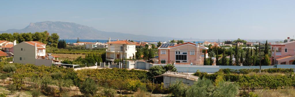 Kostas Family House Kato Assos Exterior foto