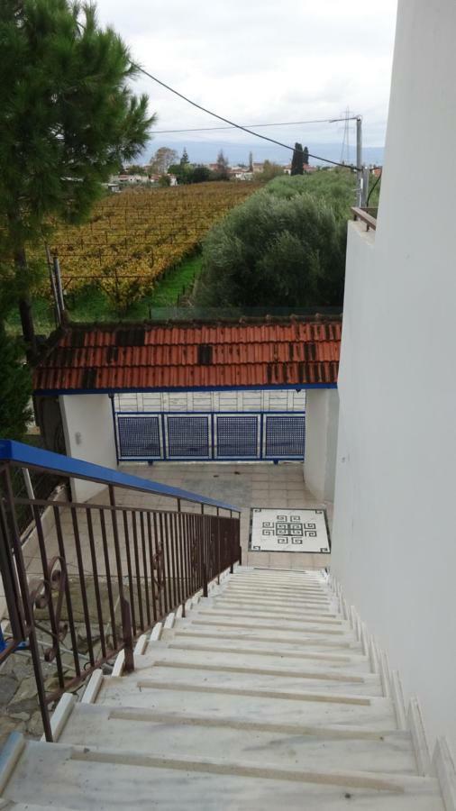 Kostas Family House Kato Assos Exterior foto